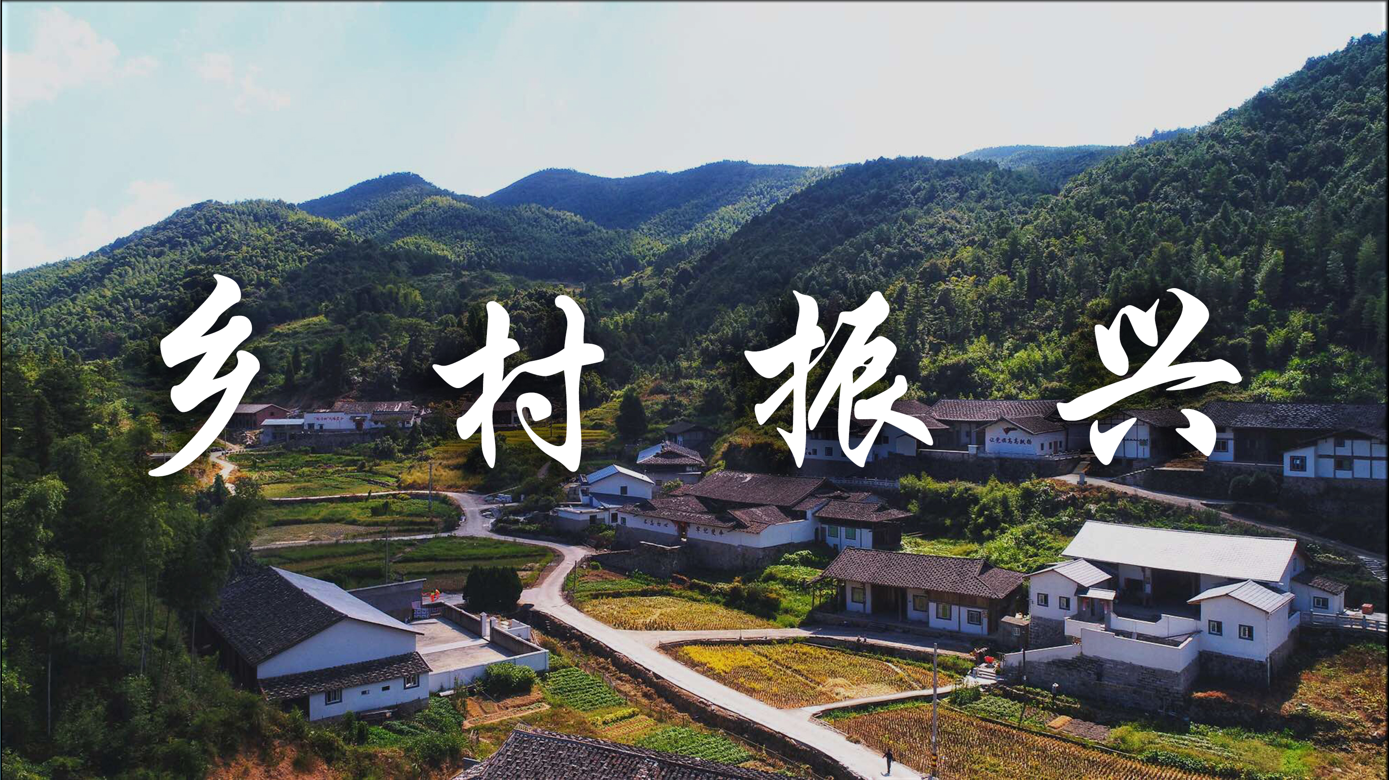 鄉(xiāng)村振興